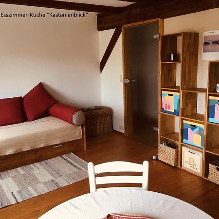 Ferienwohnung Kastanienblick Oder Parkblick, Oder Unser Radlerzimmer! Ziethen  المظهر الخارجي الصورة