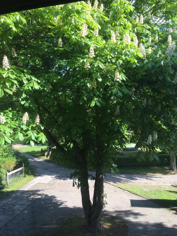 Ferienwohnung Kastanienblick Oder Parkblick, Oder Unser Radlerzimmer! Ziethen  المظهر الخارجي الصورة