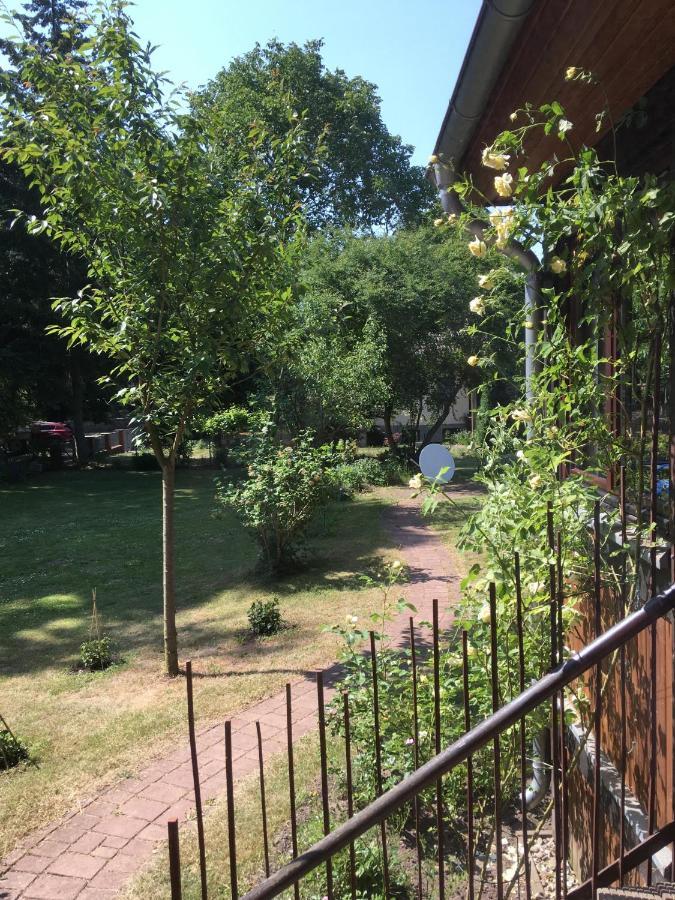 Ferienwohnung Kastanienblick Oder Parkblick, Oder Unser Radlerzimmer! Ziethen  المظهر الخارجي الصورة